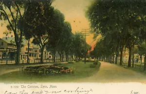 Vintage colorized postcard The Common Lynn Massachusetts 1906 - Picture 1 of 2