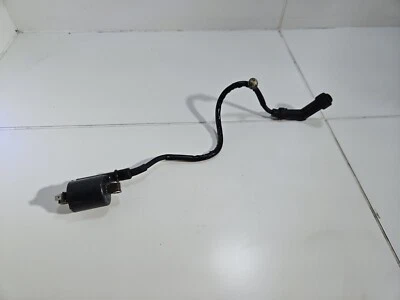 BOBINA - HONDA FES S-WING SWING ABS 125 (2007 - 2015) - Imagen 1 de 4