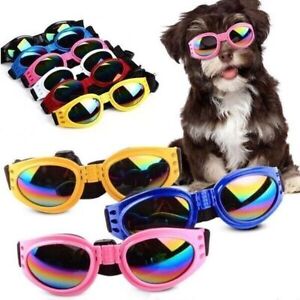 Hunde Sonnenbrille Schutzbrille Brille gegen Wind Sonne UV für groß und klein