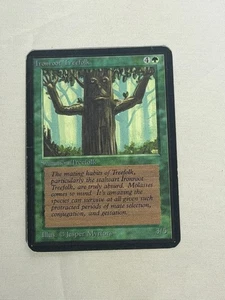 MTG Ironroot Treefolk Alpha Magic the Gathering - Picture 1 of 3