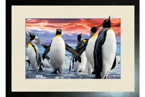 BLACK FRAMED PENGUINS AT NIGHT - 3D PICTURE PRINT 425mm x 325mm - Picture 1 of 2