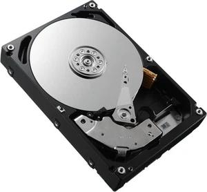 Dell W125827144 HDD 300GB 15K SAS 12GBPS 2.5 - Afbeelding 1 van 1