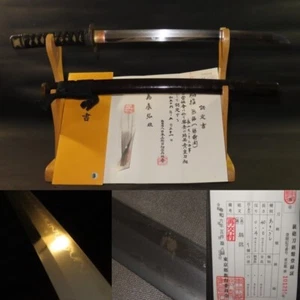 Special Price Japanese Sword Unsigned (Echizen-Seki) NBTHK Edo Antique Wakizashi - Picture 1 of 22