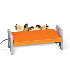 Thermo Chicken Brooder Safe Heat Lamp Alternative for Chicks Large Gray/Orange - Picture 1 of 9