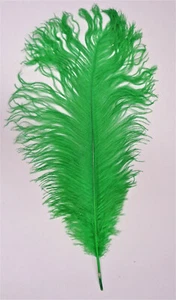 Segunderos de pluma de avestruz verde 12-14 por SEIS (6) - Imagen 1 de 2