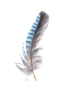 ORIGINAL Watercolour Painting Blue Jay Feather. 8” × 10” by Mila Ansell - Picture 1 of 3