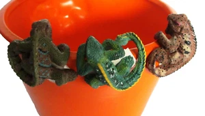 Leguan Topfhänger, klein. Handbemalter Leguan zum Aufhängen am Blumentopfrand - Bild 1 von 3