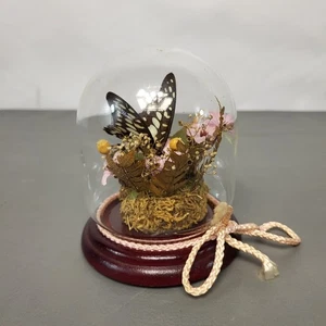 Vintage Taxidermie Schmetterling in Glaskuppel Display Sockel getrocknete & künstliche Blumen UK - Bild 1 von 12
