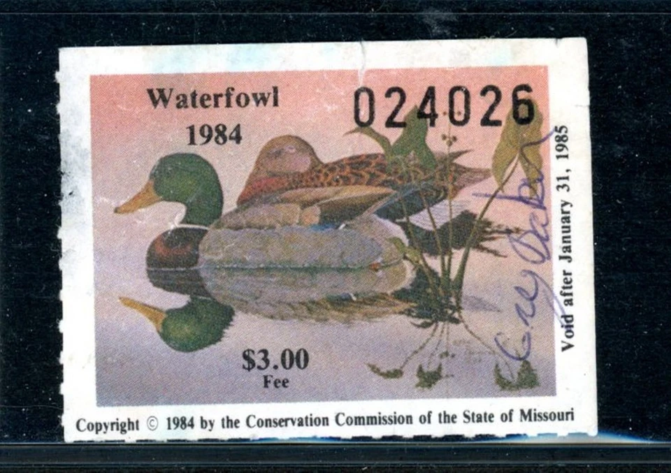 US State of Missouri Duck Scott # 6 - Used - Signed                    (35-C246) - Image 1 of 1