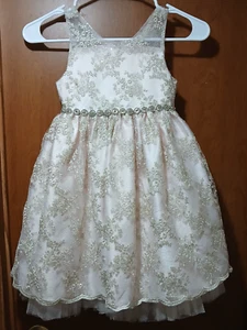NWOT American Princess Pale Pink Embroidered Metallic Tulle Party Dress Size 5 - Picture 1 of 12