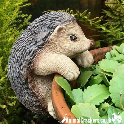 HEDGEHOG POT HANGER novelty resin garden ornament decoration Hog lover gift - Изображение 1 из 4