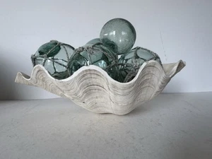 Large Clam Shell Tridacna Gigas Beautiful Specimen - Picture 1 of 13