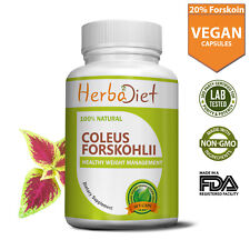 Forskolin Extract Coleus Forskohlii Capsules 20% Diet Weight Loss Fat Burner