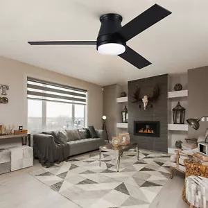 48" Black Lowe Profile Ceiling Fan with Light - Picture 1 of 21
