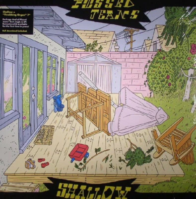 PISSED JEANS Shallow LP + 7" NEW Gate Crashers Ultimate Warriors Fine Jewelers  - Image 1 of 2