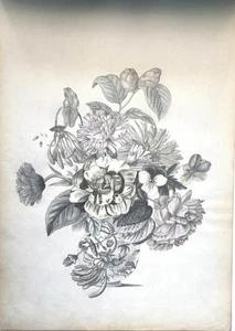 Sophie Perle 1865. (Deckeltitel). Skizzenbuch mit 12 Bleistiftzeichnungen (restl - Bild 1 von 4