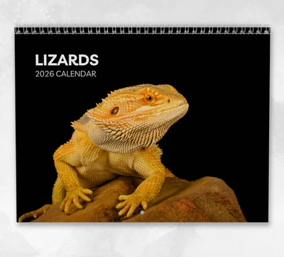 BOYCE PUBLISHING Lizard Calendar 2026: Monthly Wall Calendar with Notes, opens to A3 Size