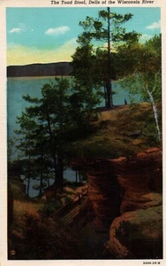 Postkarte The Toad Stool at Dells of the Wisconsin River - Bild 1 von 2