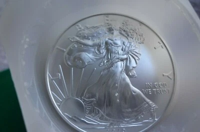 Silver Eagle .999 1 oz Gem BU Dollar Coin US Mint Sealed Roll Uncirculated - Image 1 of 4