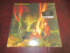 ECHO & BUNNYMEN S/T VERIFIED 180G USA LIMITED FIRST EDITION AUDIOPHILE RARE LP - Picture 1 of 2