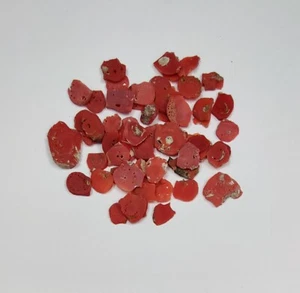 New Arrival Natural Coral Rough Loose Gemstone Italian Red Coral 50 Pcs One Lot - Picture 1 of 10