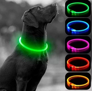 LED Hundehalsband USB Wiederaufladbar Leucht Hundehalsband Leuchtet im Dunkeln FARBE GRÜN - Bild 1 von 5