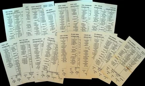 Strat-o-Matic Cards Chicago White Sox 1969 Complete Set of 20 - Picture 1 of 1