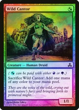 Wild Cantor FOIL Guildpact PLD Red Green Common MAGIC GATHERING CARD ABUGames