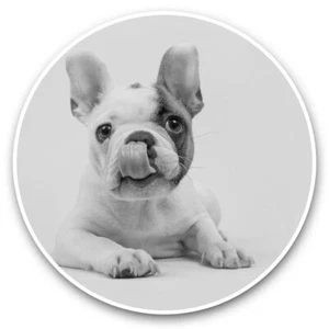 2 x autocollants vinyle 25 cm (cw) - bouledogue français chiot chien amusant #38648 - Photo 1/8