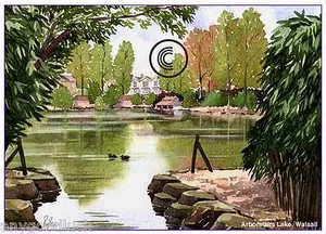 ARBORETUM LAKE WALSALL WEST MIDS WATERCOLOUR ARTISTS PRINT GREETINGS CARD 8"x 6" - Picture 1 of 1