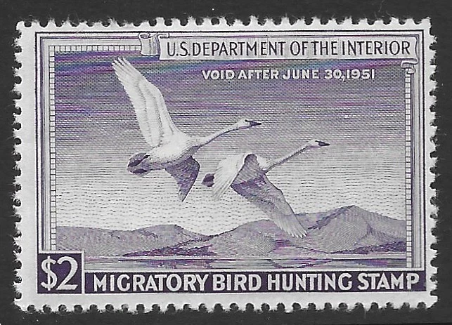 RW17 F-XF MNH OG-1950 FEDERAL DUCK HUNTING STAMP (REM #RW17-416) - Image 1 of 1