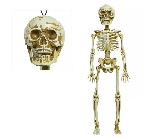 Hanging Skeleton - 15.5" - Decaying - Plastic - Costume Accessory Prop Decor - Image 1 of 1