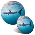 Mouse Mat & Coaster Set - Shark Underwater Mexico Sharks  #3444