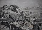 LIONS ENCIRCLING THE CAMP FROM HIGH POINT ETCHING WITH PEN/INK OVER c1880/1900