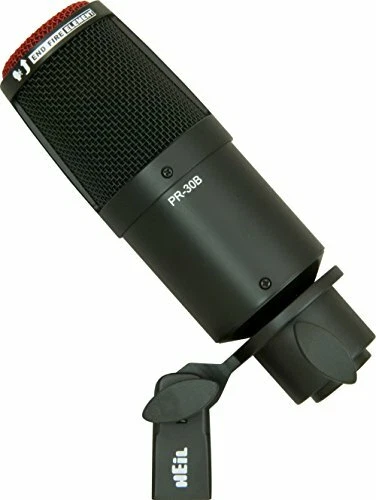 Heil Sound PR 30B Large-Diaphragm Dynamic Microphone BLACK - Image 1 of 1