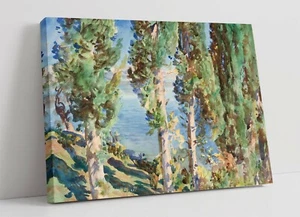 JOHN SINGER SARGENT, CORFU CYPRESSES -PREMIUM FRAMED CANVAS WALL ART PRINT - Picture 1 of 3