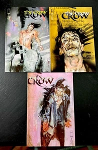 THE CROW #1-3 1999 IMAGE COMICS - KENT WILLIAMS COVER / Unread Com35 - Picture 1 of 4