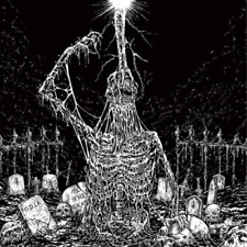 Infesticide/In Obscurity Revealed Split (CD) Album