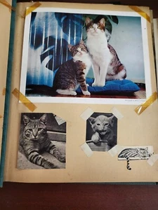 Vintage Scrapbook 1930s era Cats Subject incl Lemuel Thomas Prints #2809 - Picture 1 of 11