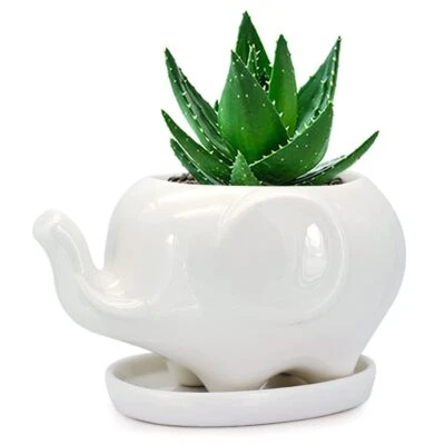 Керамический горшок для животных White Elephant Succulent Planter 5 дюймов с блюдцем веселый подарок - Изображение 1 из 4
