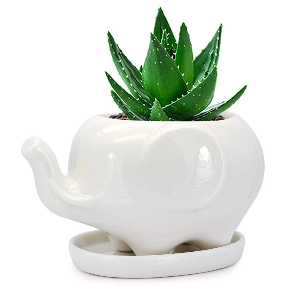 GeLive Elephant White Ceramic Succulent Planter Flower Pot With Saucer Fast