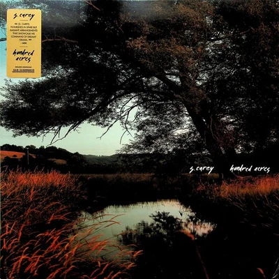 S. SEAN CAREY - Hundred Acres LP (NEW** 2018 Vinyl) Indie Rock BON IVER  - Image 1 of 2