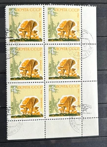 1964 Russia Soviet Union 6 stamps block MNH/CTO Mushroom and Fungi /162 - Picture 1 of 1