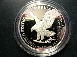 2022 W AMERICAN EAGLE SILVER PROOF DOLLAR US MINT BOX $ COA - Picture 1 of 7