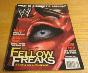 WWE Noviembre 2002 Revista de Lucha Libre Kane con Póster de Doble Cara - Imagen 1 de 7