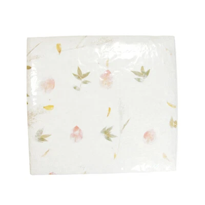 Cubierta de álbum de recortes encuadernada hojas prensadas textura de planta seca (sin páginas) Foto 1 de 3