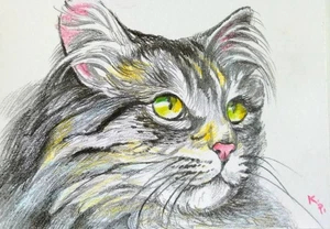 ACEO cat watercolor pencil by the author original 3,5"х2,5" 9x6cm not print - Picture 1 of 1