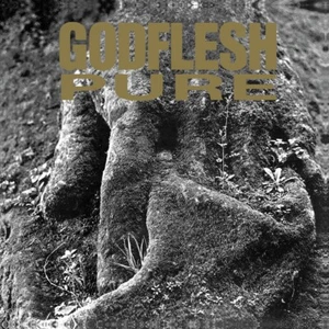 Godflesh 'Pure' Clear Vinyl - NEW - Picture 1 of 2