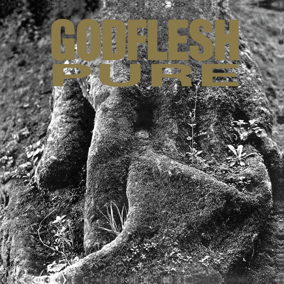 Godflesh 'Pure' White / Black Pinwheel Vinyl - NEW - Image 1 of 2