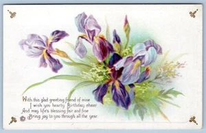 1910's HAPPY BIRTHDAY GREETINGS PURPLE IRIS FLOWERS EMBOSSED ANTIQUE POSTCARD - Picture 1 of 2